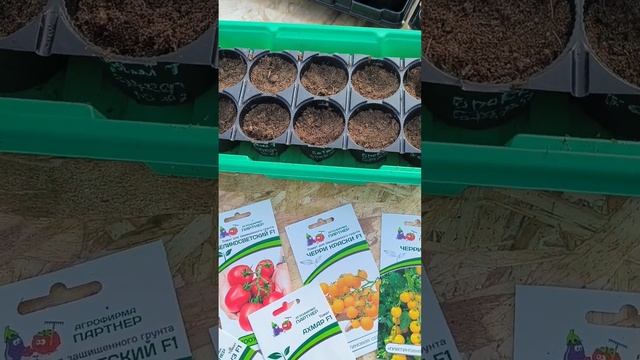 Как сэкономить место и вырастить много рассады томатов | #SemenaPartnerShorts смотреть онлайн