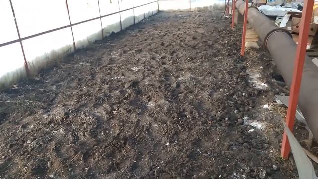 Плуг ПЦ 1-18 для мотоблока родом из СССР. смотреть онлайн