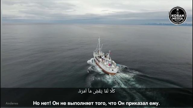 Чтец:Sheikh Mitaib AbdurRahman Сура: Абаса (80) смотреть онлайн