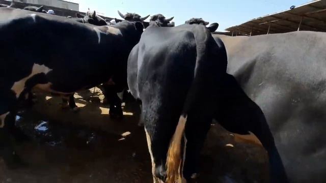 20 сентября 2020 г. смотреть онлайн