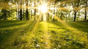 МУДРА ДЛЯ СЕРДЦА СПАСАЮЩАЯ ЖИЗНЬ