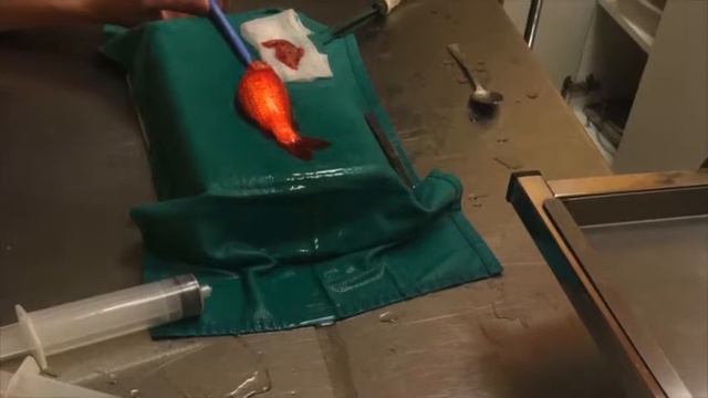 Slovoda ENG смотреть онлайн