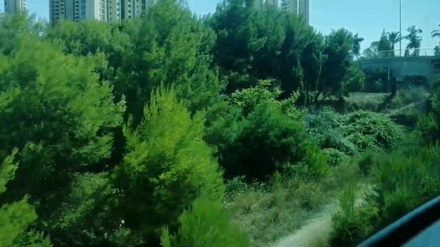 ТРАМВАЙ БЕНИДОРМ ТОРГОВЫЙ ЦЕНТР - АЛЬБИР #испания #транспорт #трамвай #цены #природа #spain смотреть онлайн