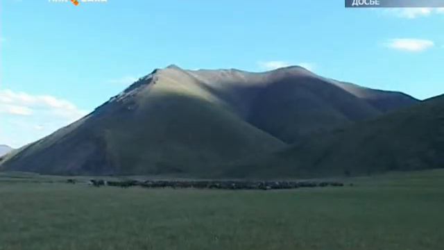 МИНСЕЛЬСХОЗ ПРОВОДИТ МЕРОПРИЯТИЯ ДЛЯ СЕЛЕКЦИОНЕРОВ И РАБОТНИКОВ ПЛЕМЕННОГО ДЕЛА. смотреть онлайн