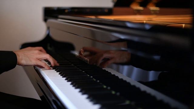 Rachmaninov Étude Tableaux Op.39 No.1 in C minor | Bechstein D282 Concert Grand Piano смотреть онлайн