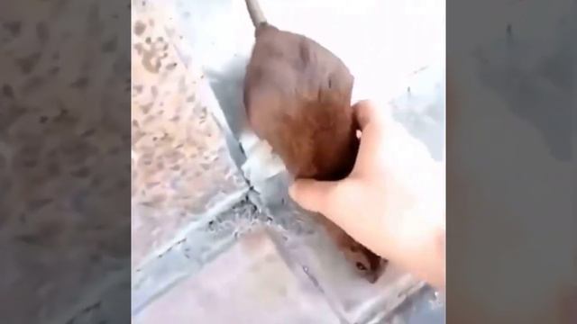 You’re my friend now [meme] смотреть онлайн