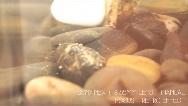 Sony NEX 5R with 18-55mm lens video sample - featuring the biorb fish tank смотреть онлайн