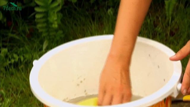 Мучнистая роса на плодовых кустарниках: боремся без химии - 7 дач смотреть онлайн