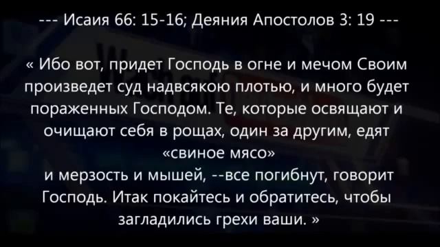 християне,библия запрещает свинину! смотреть онлайн