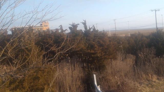 Royal Lodge hotel Absceso Ave NJ смотреть онлайн