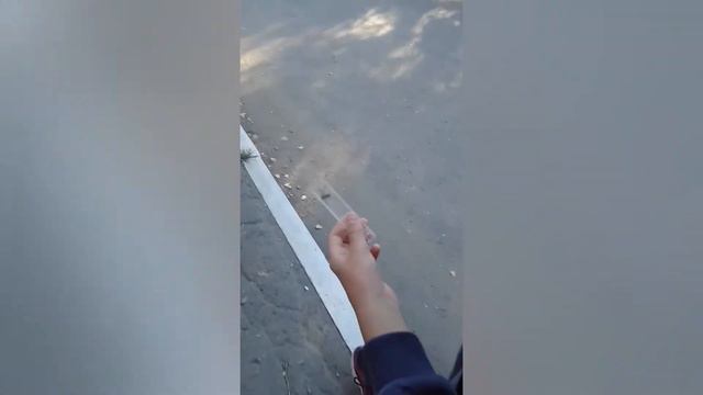 Нашли ядовитого паука смотреть онлайн