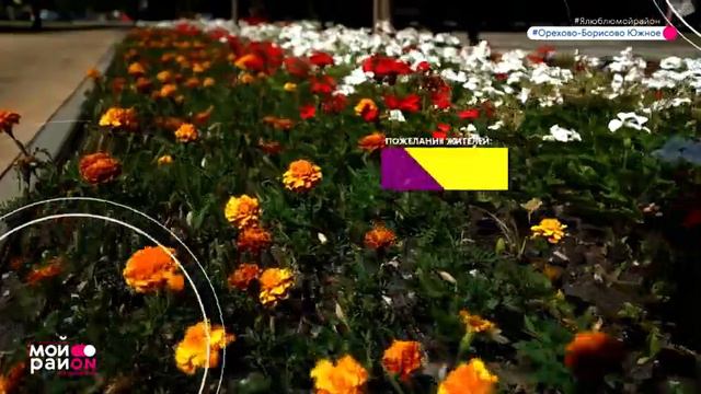 ЮАО р-н Орехово-Борисово Южное