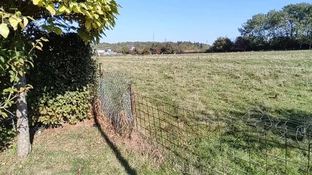 Motorola moto G100 photo & vidéo 4k смотреть онлайн