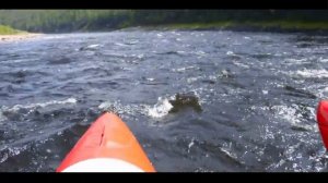 Сплав по реке Витим - Угрюм река, III к.с, Рыбалка, Rafting, Russia.