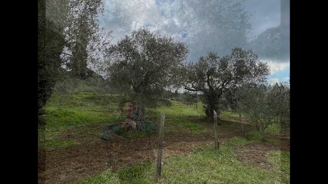 Афон 2022 день 2 смотреть онлайн