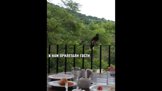 Отдых в Аргентине - Провинция Сальта - Наталья из Аргентины смотреть онлайн