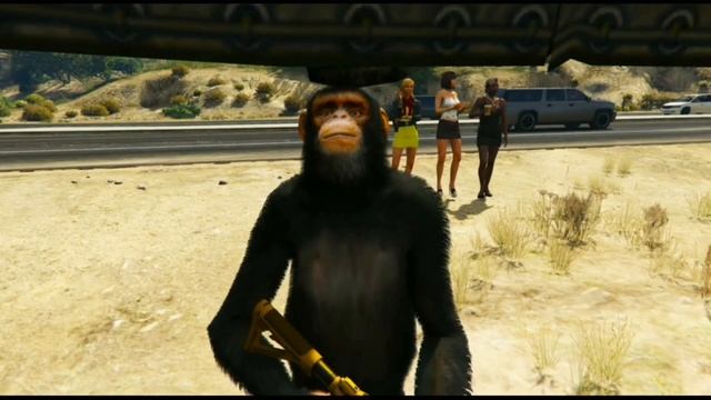 कालिया बंदर लेकर भाग गया सांड बाबा डीजे को ??? GTA 5 STORY VIDEO MONKEY SANDA BABA DJ GABBAR DJ смотреть онлайн