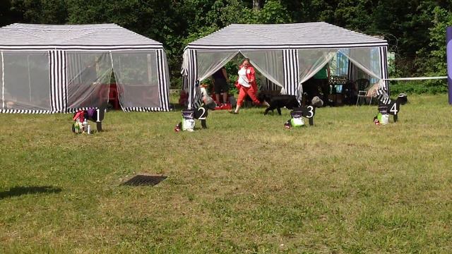 День ризена - 2014: Suomi Yuzefa Irbis смотреть онлайн