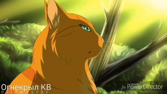 {Коты-Воители}||▪□Белка□▪||[Номер 1]||~Заказ~