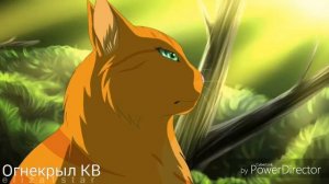 {Коты-Воители}||▪□Белка□▪||[Номер 1]||~Заказ~