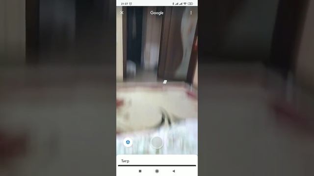 Тварини у 3D вдома смотреть онлайн