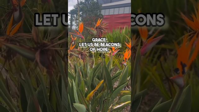 Persevering in Seeking God's Grace #inspiration #motivation #quotes #prayer #divineguidance смотреть онлайн