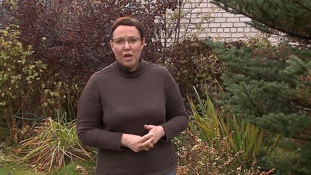 Осенние удобрения для почвы. Советы специалиста. смотреть онлайн