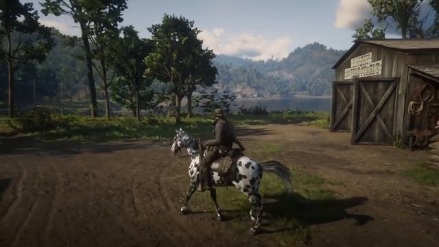 Red Dead Redemption 2 Appaloosa LOCATION & ALL COATS & STATS GOOD HORSE GUIDE смотреть онлайн