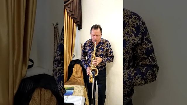 DANCE MONKEY НА АЛЬТ САКСОФОНЕ В ИСПОЛНЕНИИ DIMAN NOVICHKOV. смотреть онлайн