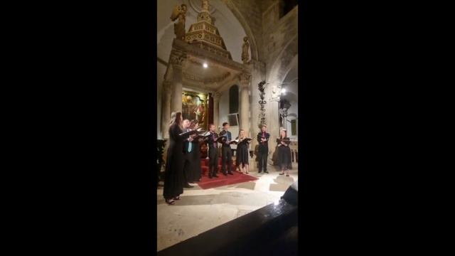 Octavoce : El Grillo смотреть онлайн