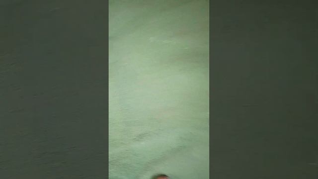 крепление ковролина на ДВП в кухне. смотреть онлайн