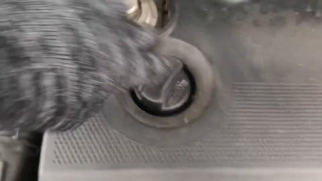 Разборка Volkswagen - Golf 4 1997-2005, 1.9 TDI (VIN: WVWZZZ1JZ1B040491) 68790 смотреть онлайн