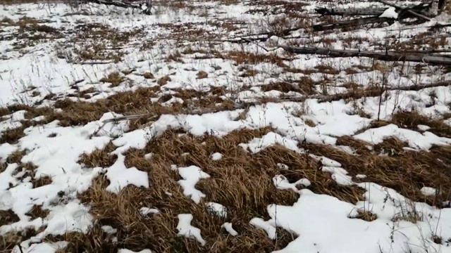 Первый поход в горы смотреть онлайн