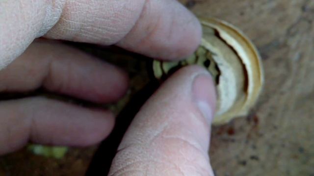 Учебник по Креативу