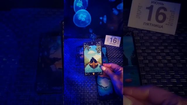 Прогноз на пятницу 16 июня смотреть онлайн