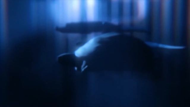 КАК ПРОИСХОДИЛА ЭВОЛЮЦИЯ ЖИЗНИ НА ЗЕМЛЕ? смотреть онлайн