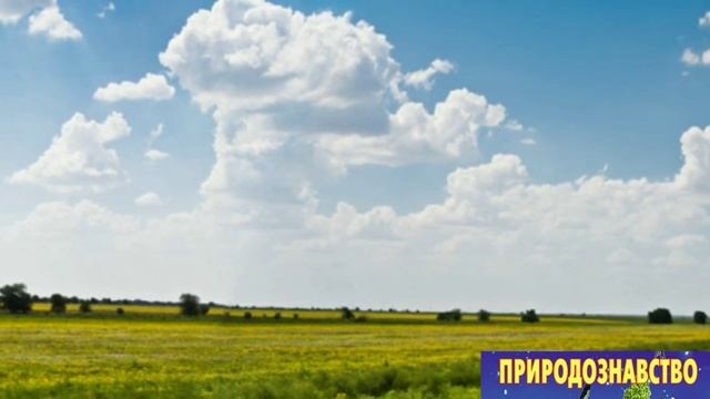 Горизонт. Сторони горизонту. Навчальне відео. Природознавство четвертий клас. ЯДС смотреть онлайн