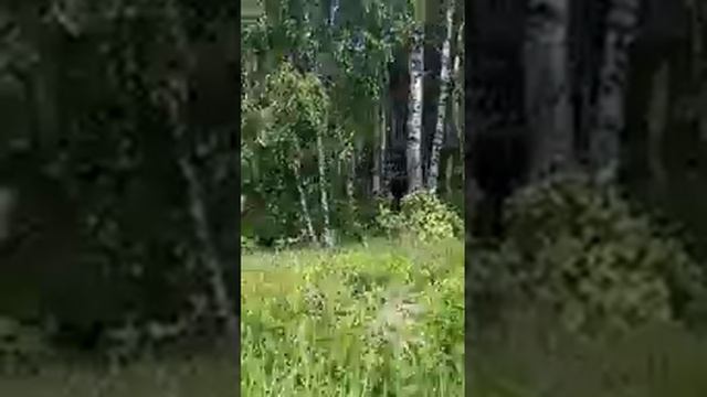 Соседу сказала, чтоб мысли и домового держал при себе смотреть онлайн