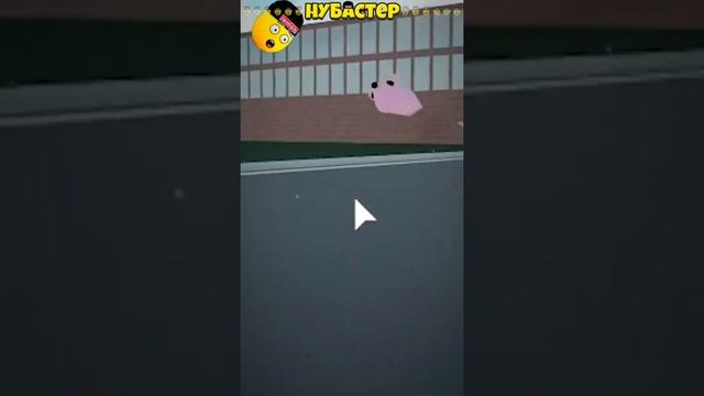 КАК ВЫГЛЯДИТ КОШКА КАРТОШКА НА САМОМ ДЕЛЕ? НУБАСТЕР! #shorts #youtubeshorts смотреть онлайн