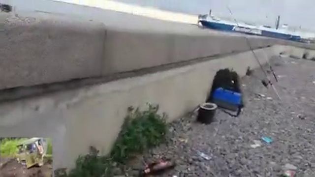 Ловля судака. Финский залив. Рыбалка на дамбе.