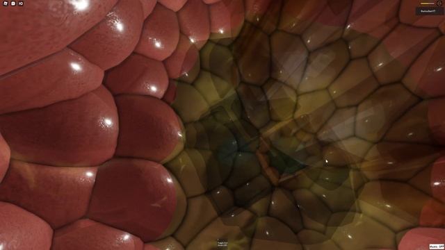 Get Eaten And Digested Is Another Disgusting Roblox Vore Game смотреть онлайн