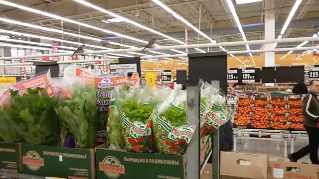 Москва, ашан, воробьи гадят на то что мы покупаем((( смотреть онлайн