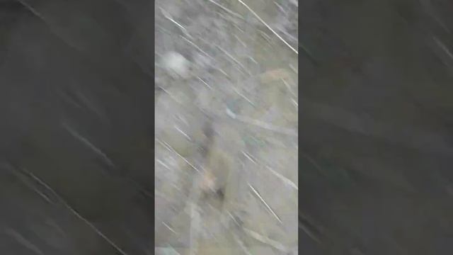 по следам группы часть 1 смотреть онлайн