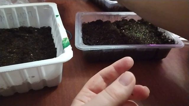 мои первые неудачи и ошибки. учусь на личном опыте.