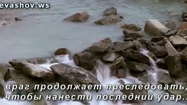 Никогда не сдавайся! Даже если нет надежды ! смотреть онлайн