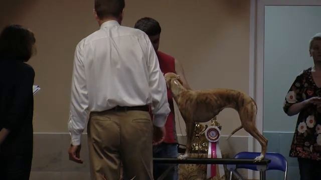 Krasnaya Strela Donn De La Jua смотреть онлайн