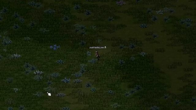 Project Zomboid, но на меня охотятся! смотреть онлайн