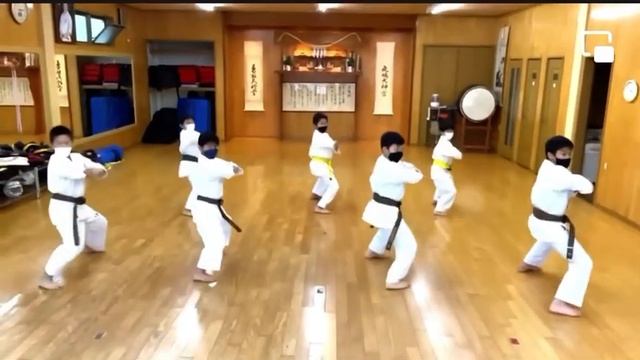 Shin kyokushin Kai karate смотреть онлайн