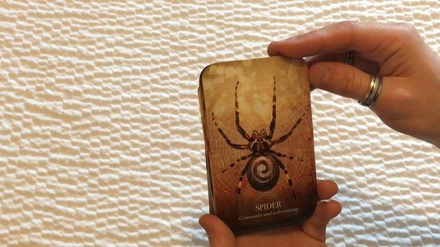 Top 5 Oracle Decks 2016 - #31DaysOfTarot Day 3 смотреть онлайн