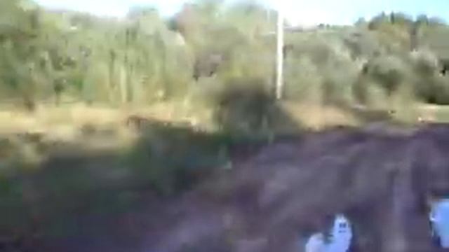 Поездка в Полушкино/ Trip to Polushkino смотреть онлайн
